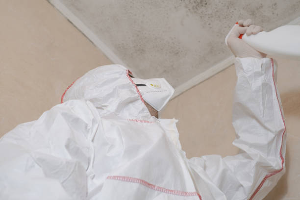 Best Mold Removal Near Me  in Volcano Golf Course, HI