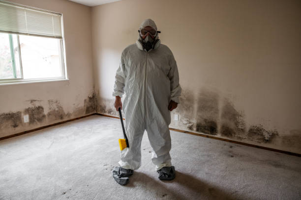 Certified Mold Removal in Volcano Golf Course, HI